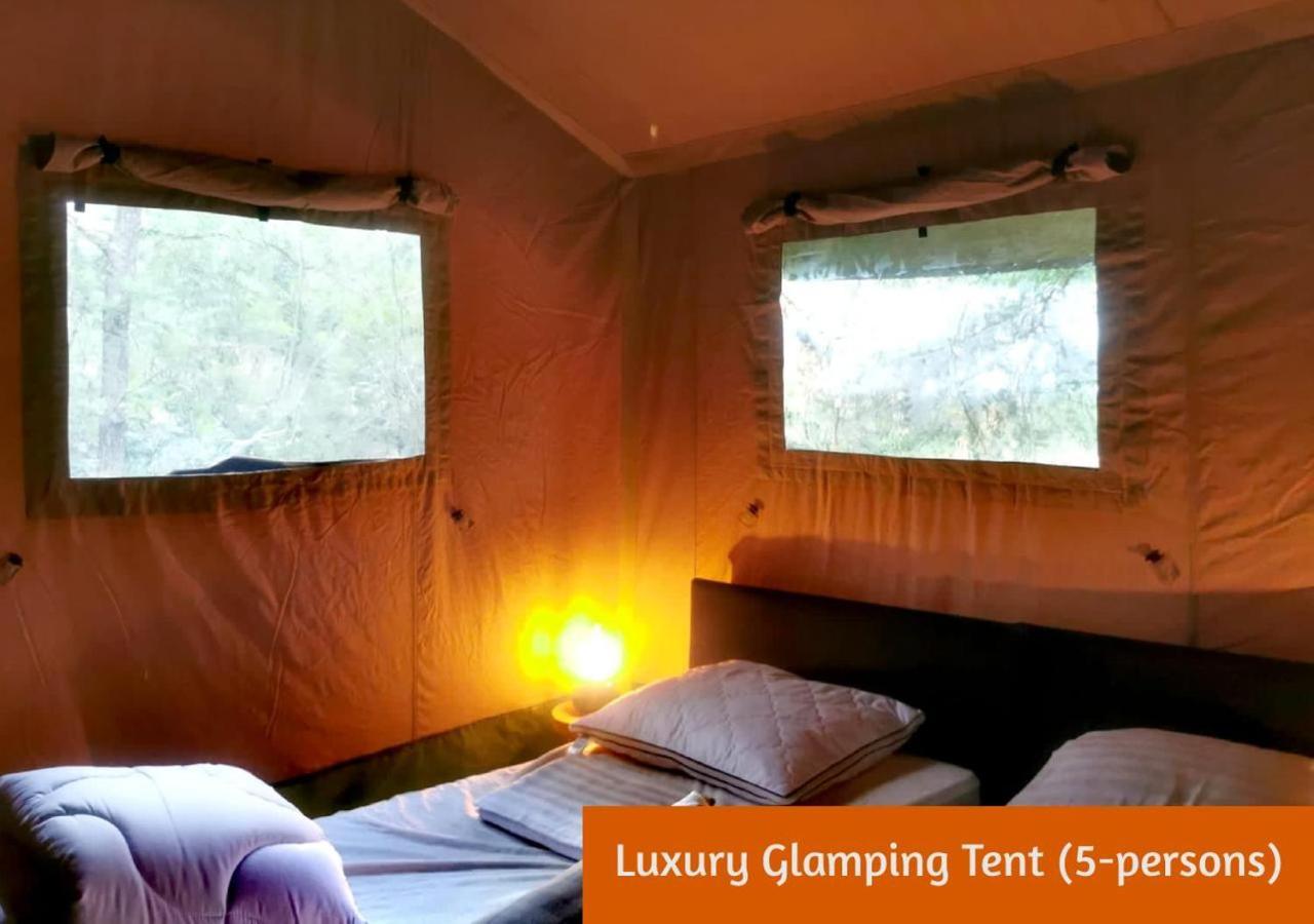 Glamping In Nature By Outdoors Хльтен Экстерьер фото