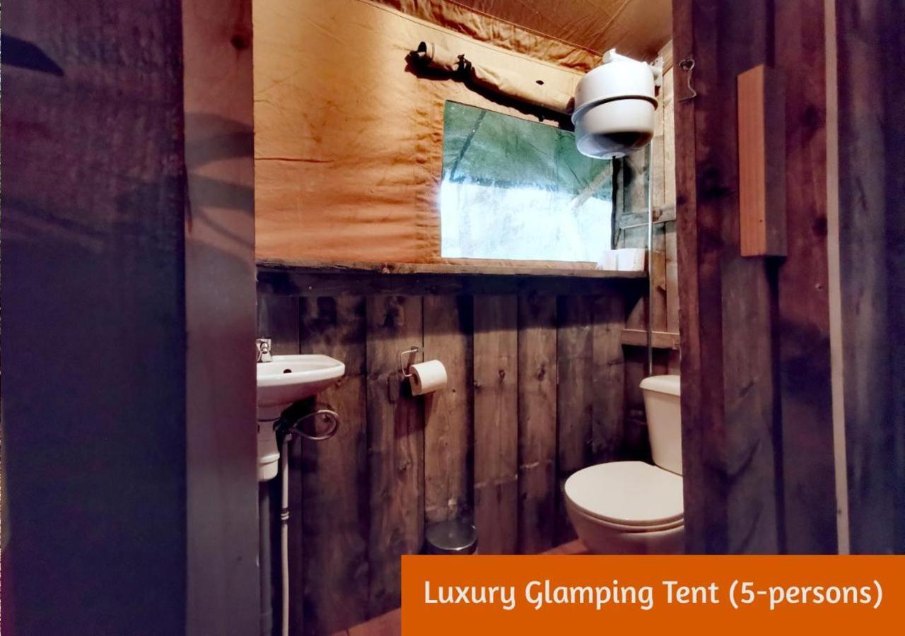 Glamping In Nature By Outdoors Хльтен Экстерьер фото