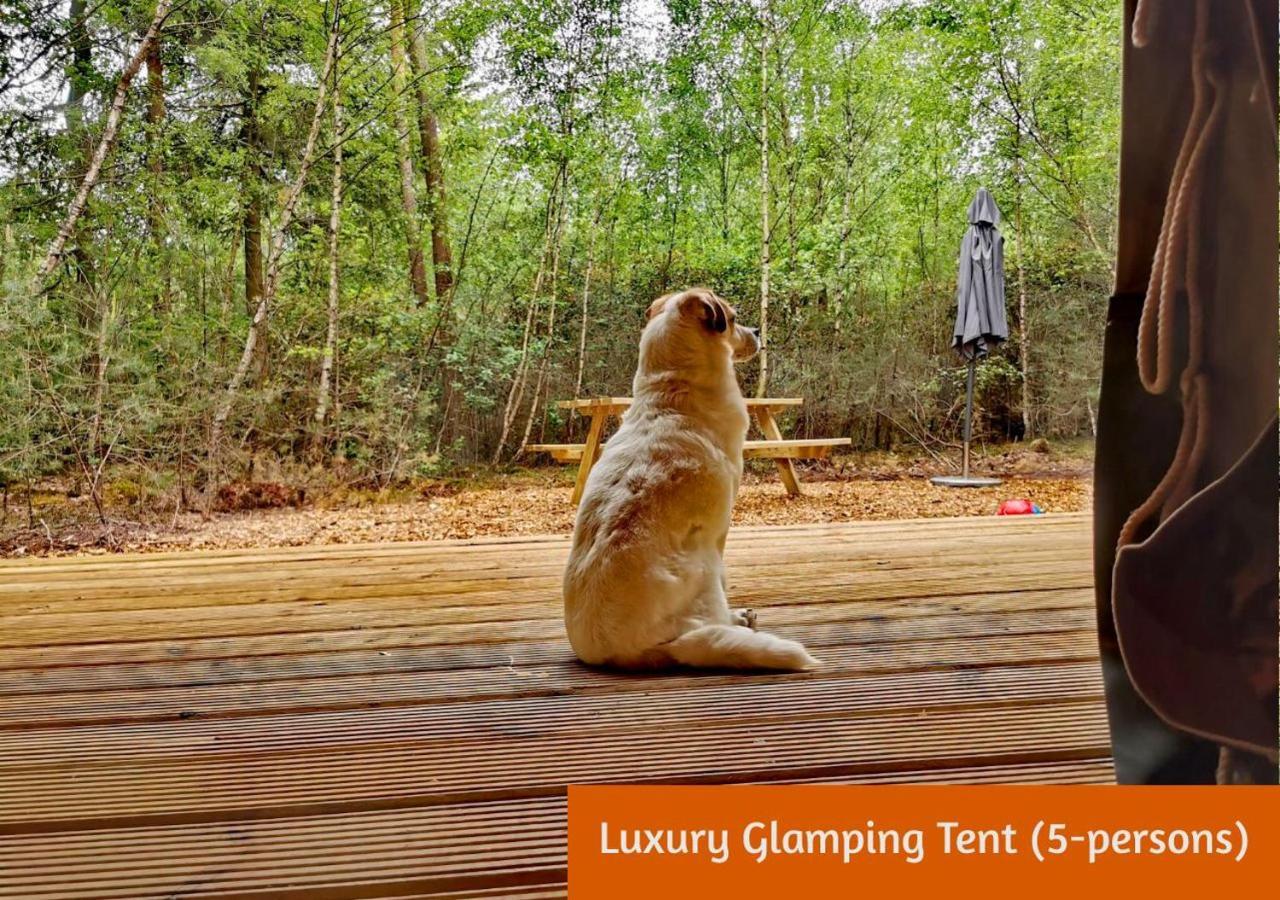 Glamping In Nature By Outdoors Хльтен Экстерьер фото